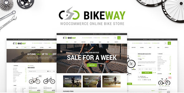 Bikeway - WordPress WooCommerce Sport Shop Theme